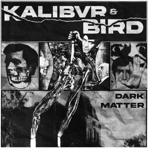 DARK MATTER (feat. Bird)