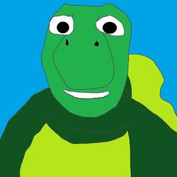 Shocked Turtle