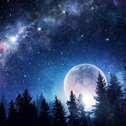 Moonbeams