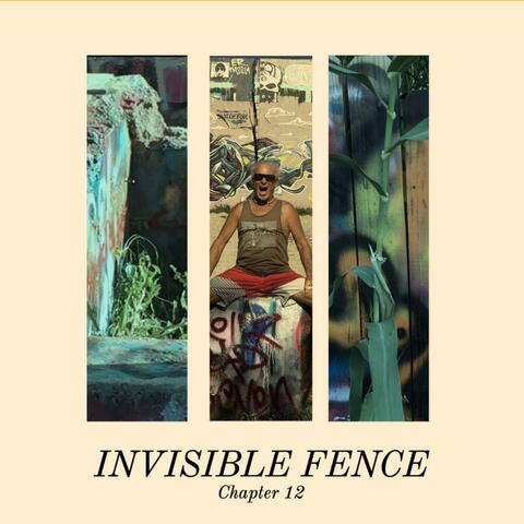 Invisible Fence (Chapter 12)
