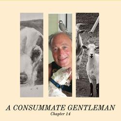 A Connsumate Gentleman (Chapter 14)