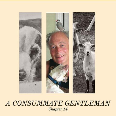 A Connsumate Gentleman (Chapter 14)