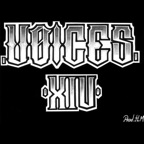 VOICES XIV.