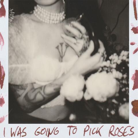 I WAS GOING TO PICK ROSES