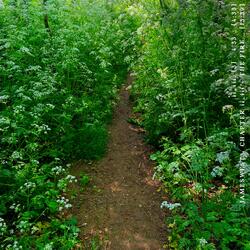 4'33 (Phoebe, 6th June 2023)