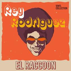 El Raccoon
