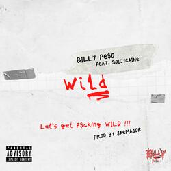 Wild (feat. Soicycaine)