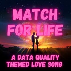 MATCH FOR LIFE (a data quality themed love song)