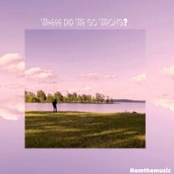 Where did we go wrong?