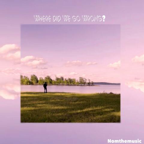 Where did we go wrong?