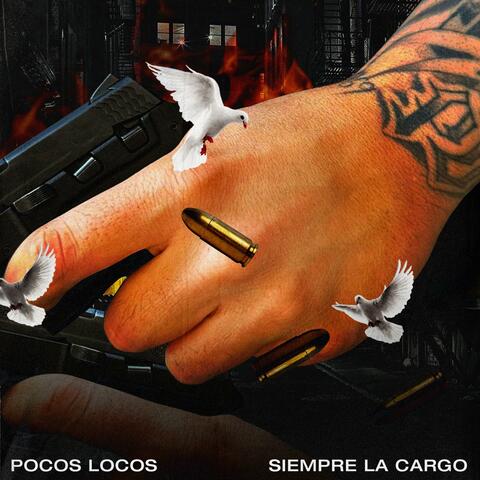 SIEMPRE LA CARGO