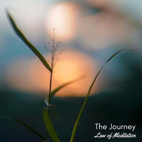 The Journey