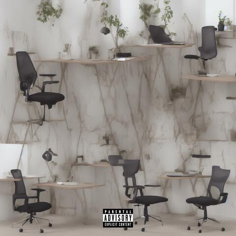 Desk Chairs