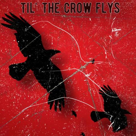 Til' The Crow Flys