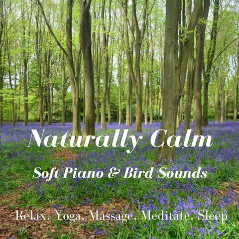 Naturally Calm Soft Piano & Bird Sounds