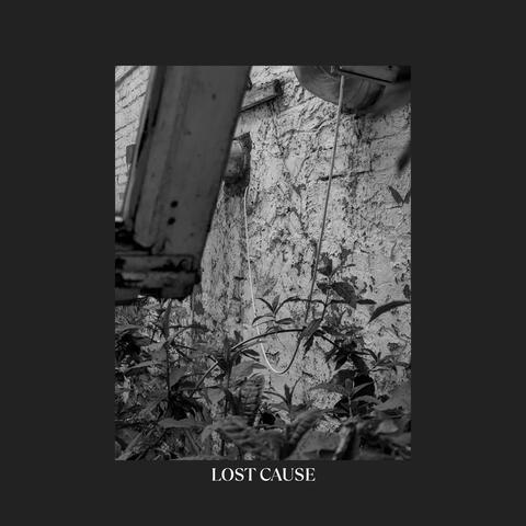 Lost Cause