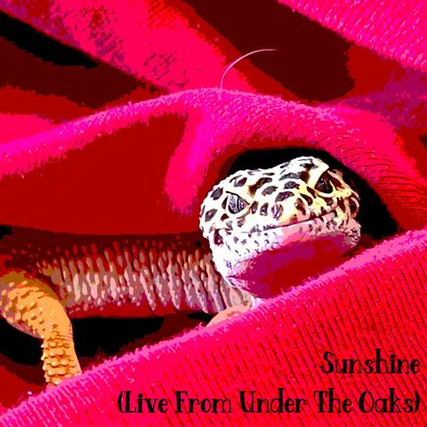 Sunshine (Live from Under the Oaks)