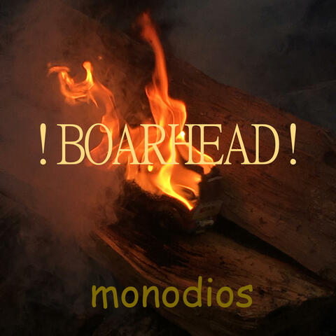 !BOARHEAD! (feat. aerocobra & ReNZirA)