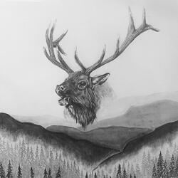 The Next Ridge