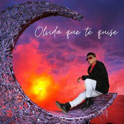 Olvida que te quise