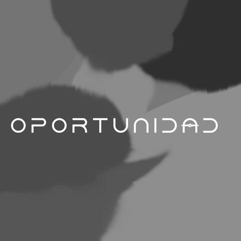 Oportunidad