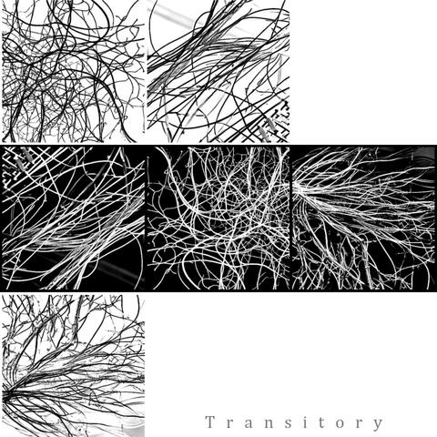 Transitory
