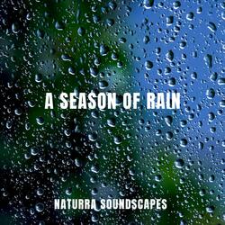 Raindrops Of Springtime