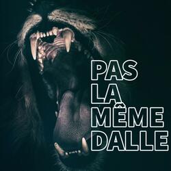 PAS LA MÊME DALLE