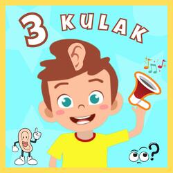 Sen Hiç Gördün Mü 3 Kulaklı Bir Adam