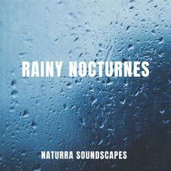 Melody On A Rain Background