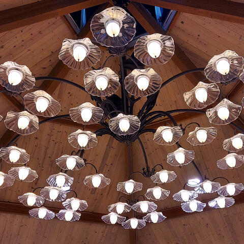 Live Another Day (Live)