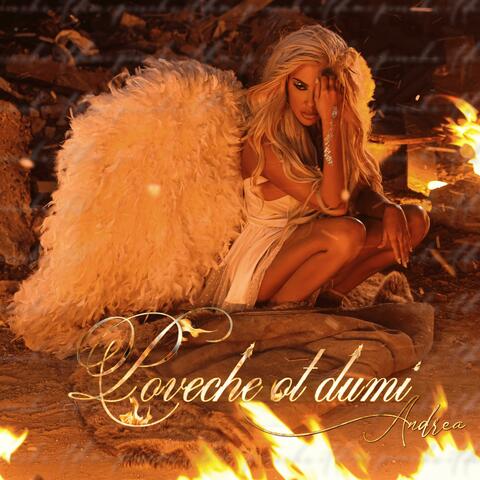 Poveche ot dumi