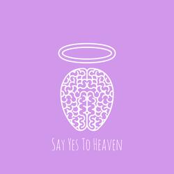 say yes to heaven