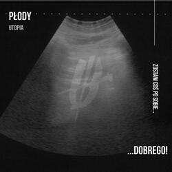 Płody
