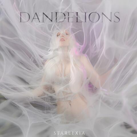 Dandelions