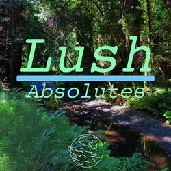 Lush Absolutes