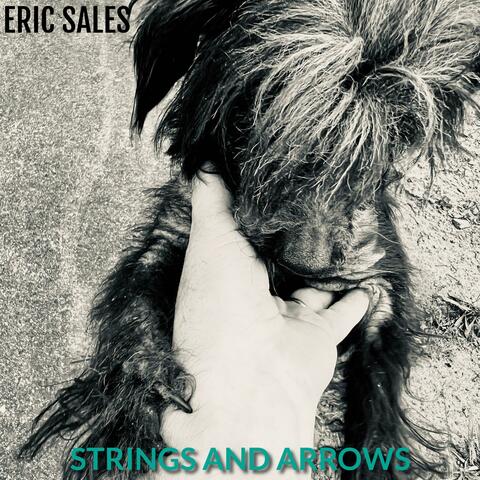 Strings and Arrows