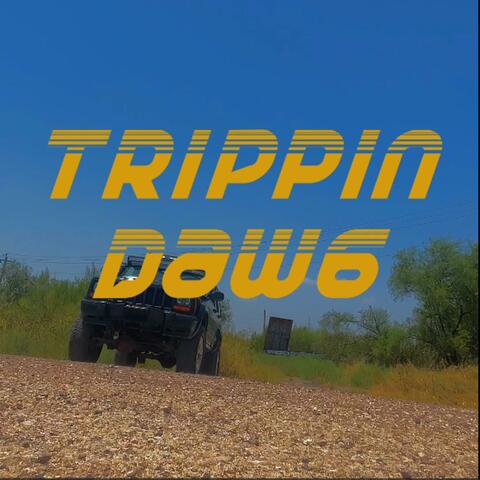 Trippin Dawg
