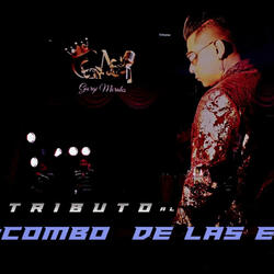 Tributo a la Combo de las Estrellas