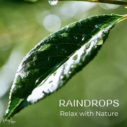 Raindrops (Relax with Nature)