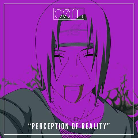 Perception of reality