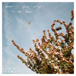 when i grew wings in my dream