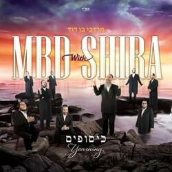 Simchas Toireh - שמחת תורה