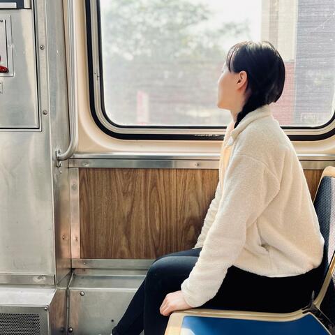 Brown Line