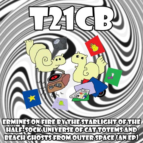 Ermines on Fire by the Starlight of the Half​-​Sock Universe of Cat Totems and Beach Ghosts from Outer Space (an EP)