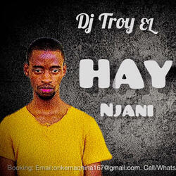Hayibo njani (New Gqom2023)by DjTroyEL