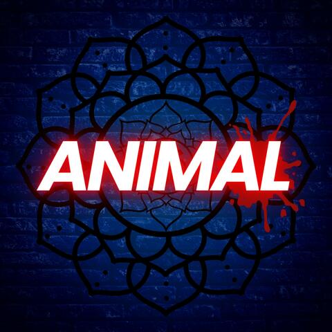 Animal Ranbir Kapoorr