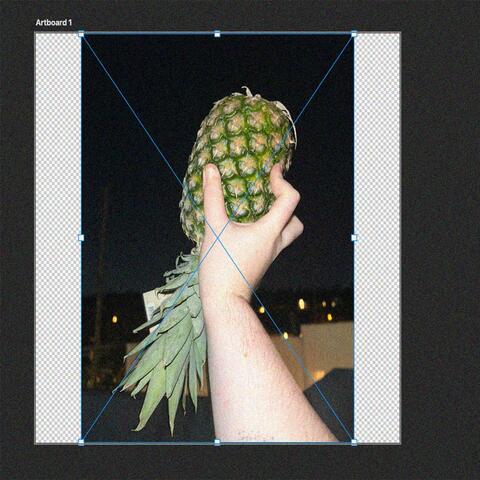 PINEAPPLE UPSIDE DOWN (feat. ethan is online)