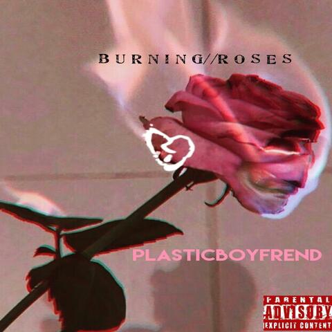 BurningRoses