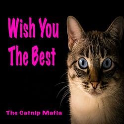 Wish You The Best